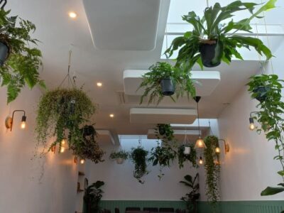 Little Hanoï_Absorber 100